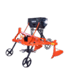Sugarcane Strudder